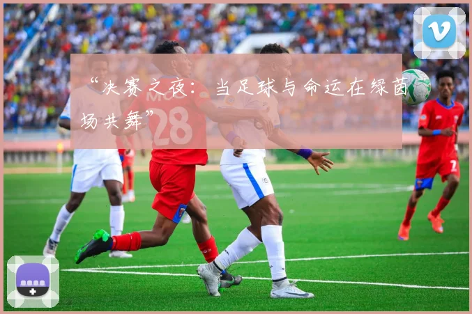 “决赛之夜:当足球与命运在绿茵场共舞”